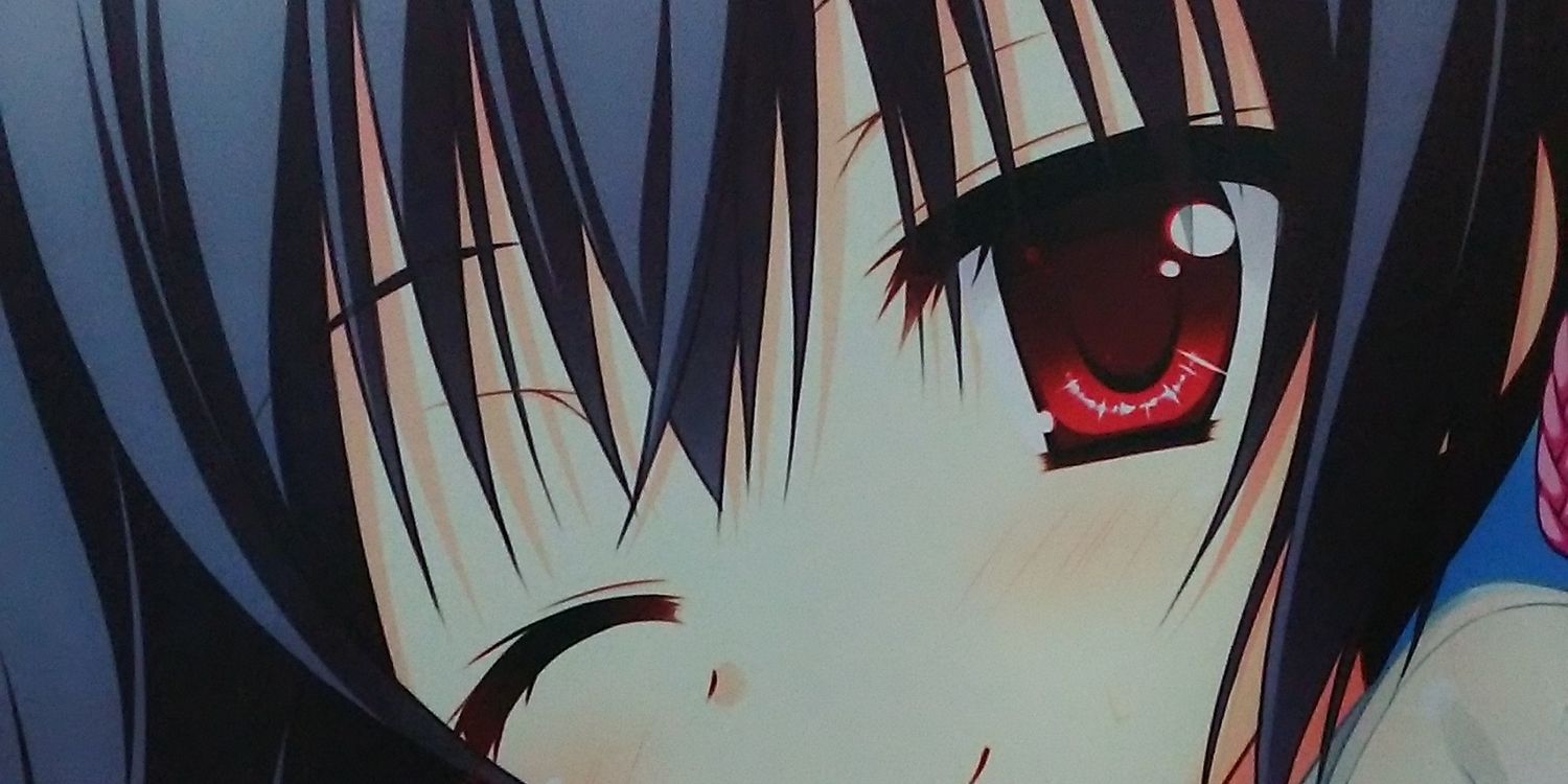 04Trapnest's profile banner image