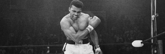 Boxing Videos banner