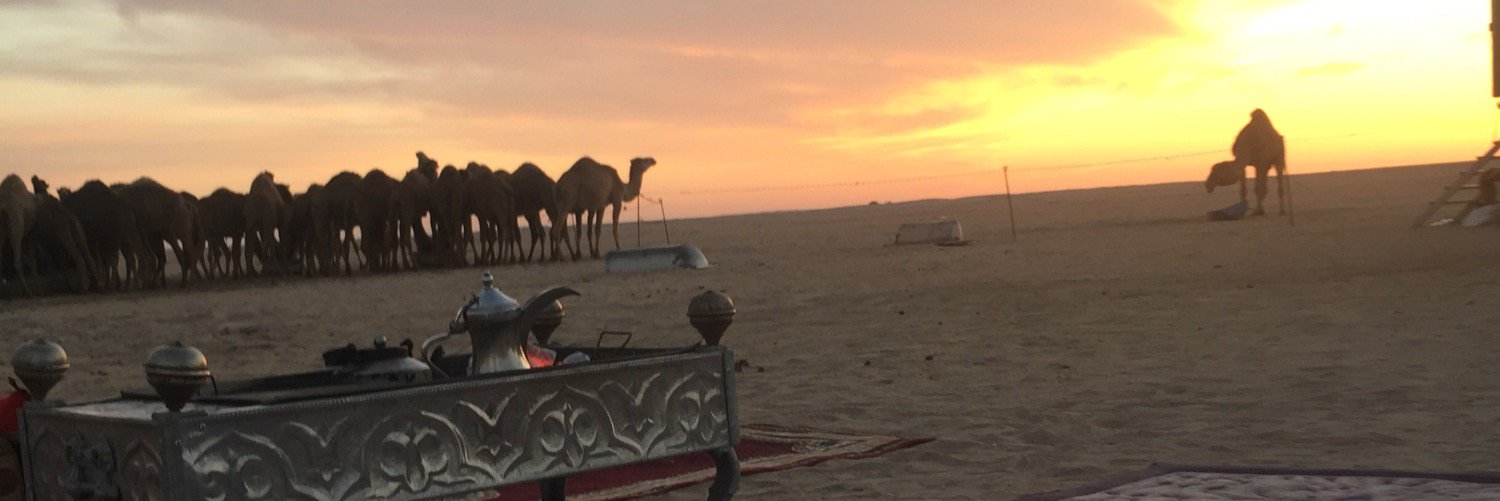 Meshal_Alhamid's profile banner image