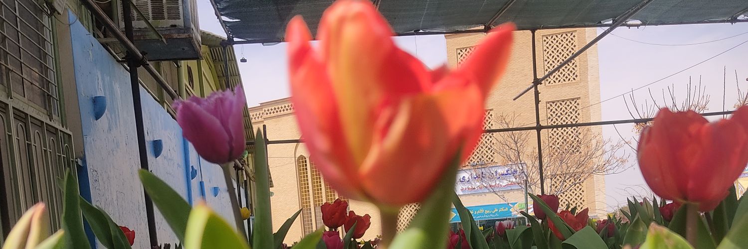 حسینشونم's banner