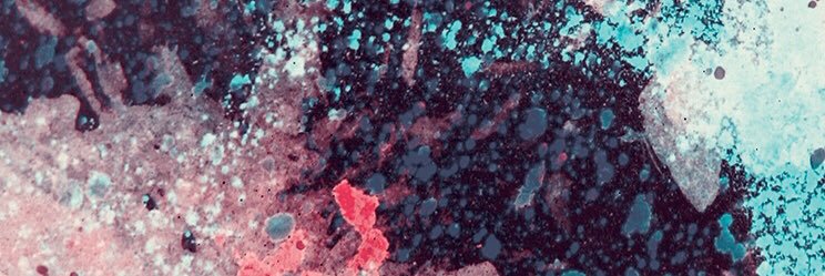 Camila banner