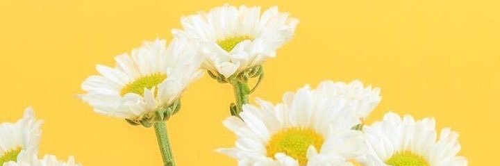KevinKalaaleq's profile banner image