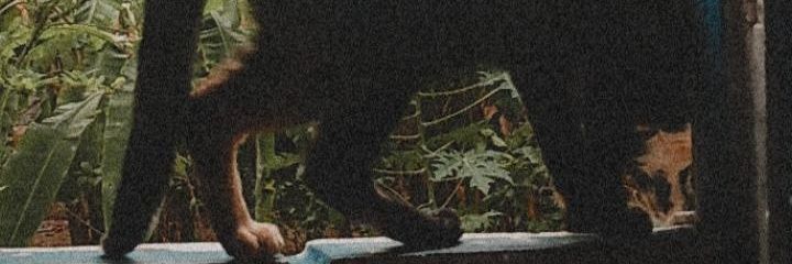 pmntls's profile banner image