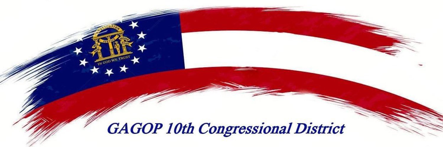 Georgia 10th District Republican Party's banner