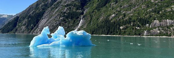 Sandy4STEAM Profile Banner