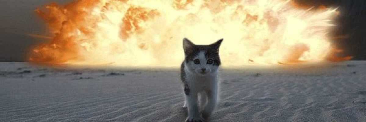 StrayCatRoss's profile banner image