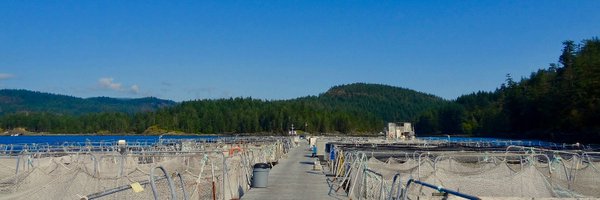 LuanaLanglois Profile Banner