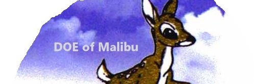 mrmalibu's profile banner image