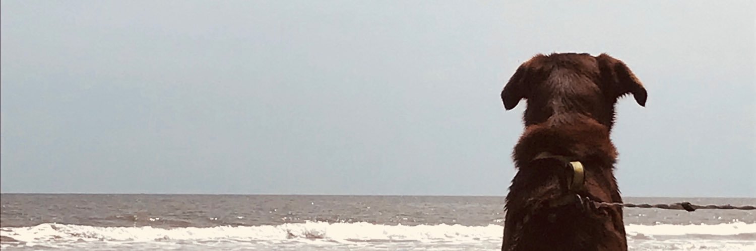 janpugh's profile banner image