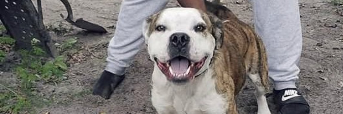 Soul Brother #3 banner