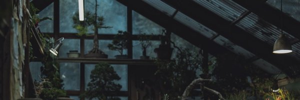 damnedbeans Profile Banner