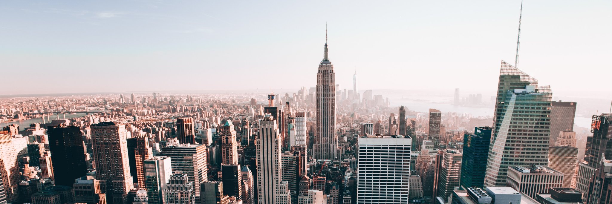 TreasonTotingCo banner