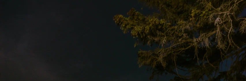 Karen pastrana banner