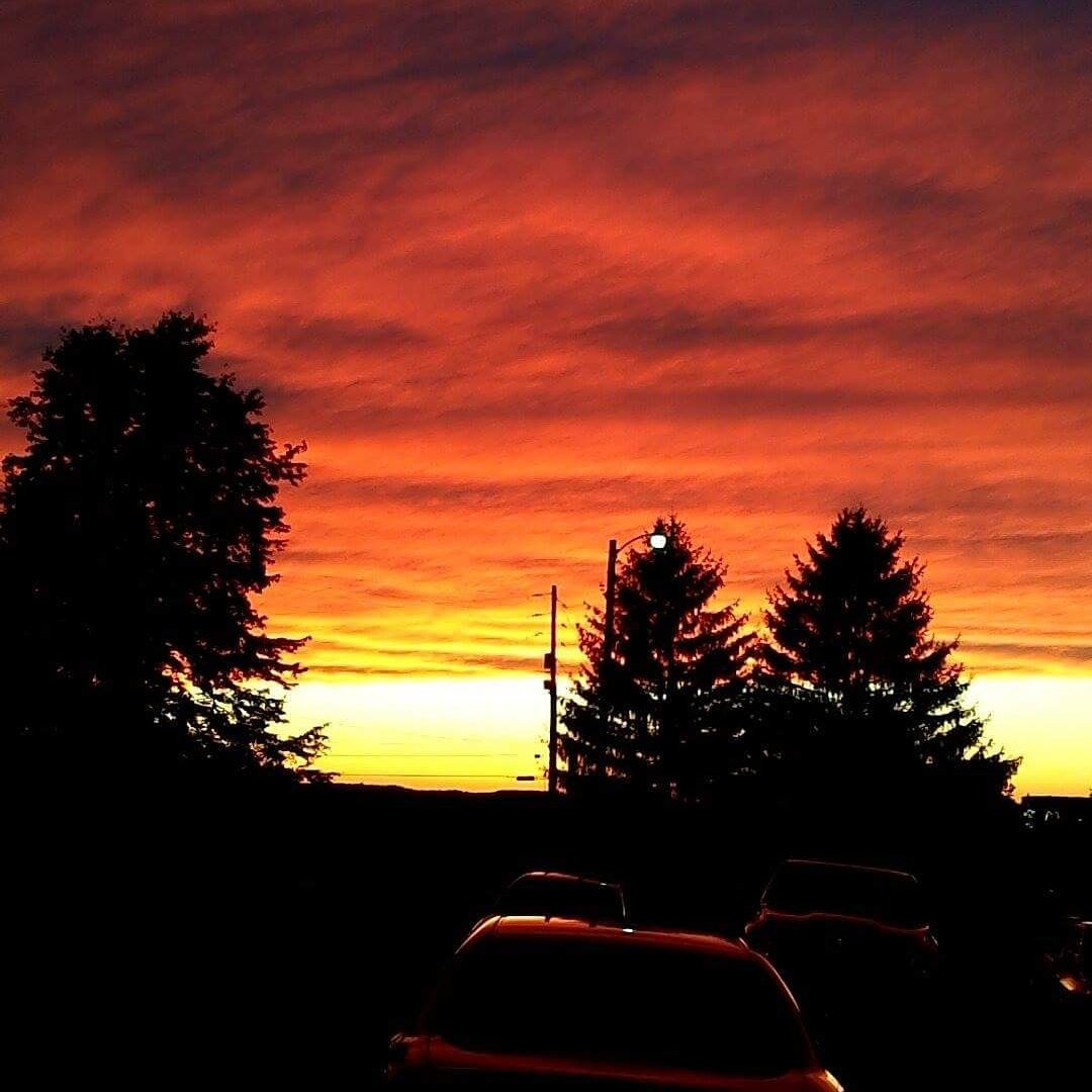 cathycuster30's profile banner image