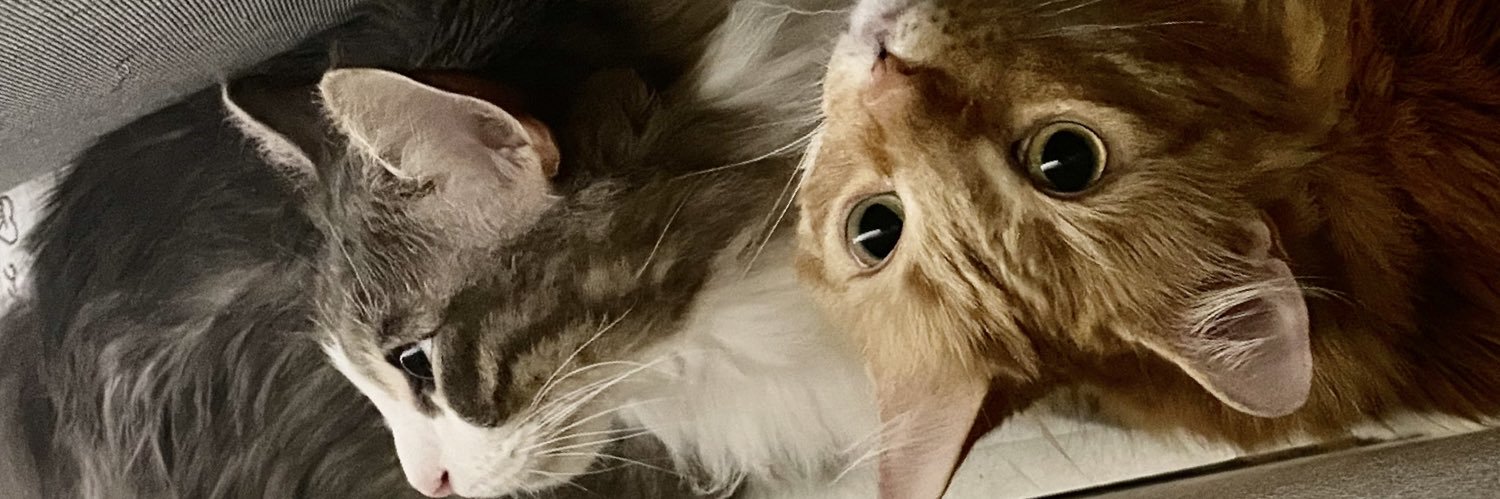 141RT2018's profile banner image