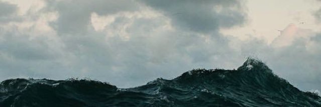 debbiekolive's profile banner image
