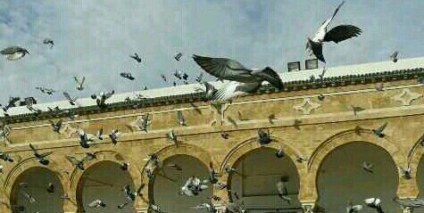 labib_elmuna's profile banner image