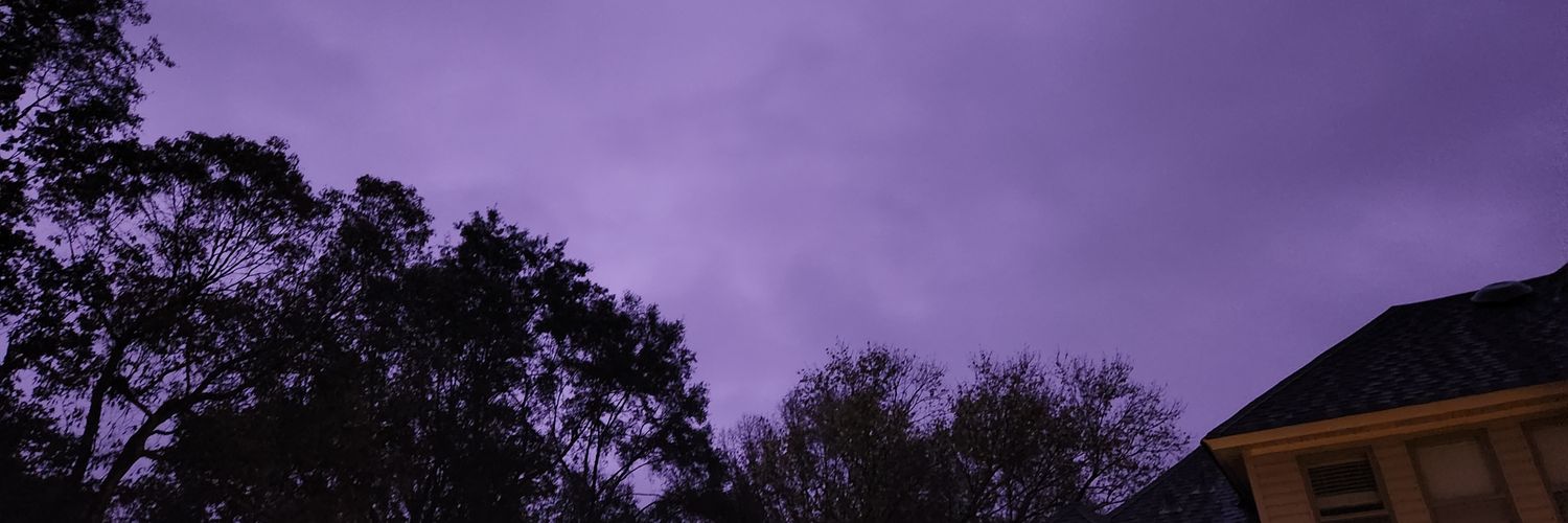 bamayellowhammr's profile banner image