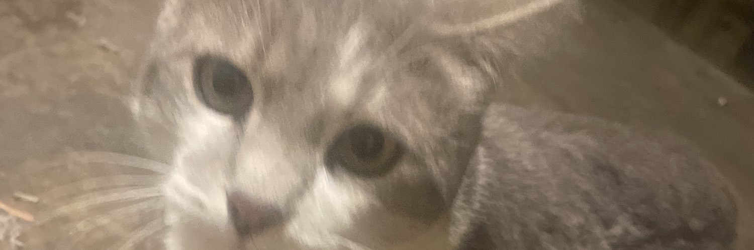 dancermp4's profile banner image