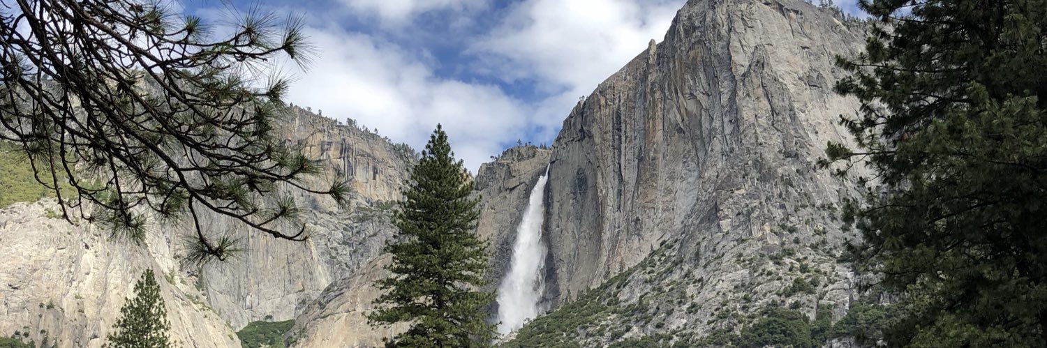 Stacey Mastrocola banner