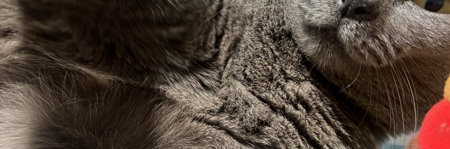 nadiaa | preloved uniqlo dll on 📍 banner