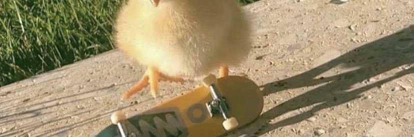 NotGiovanny's profile banner image