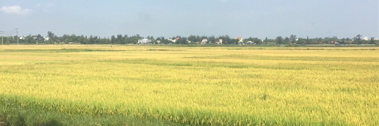 главный квантовый механек🇻🇳 banner