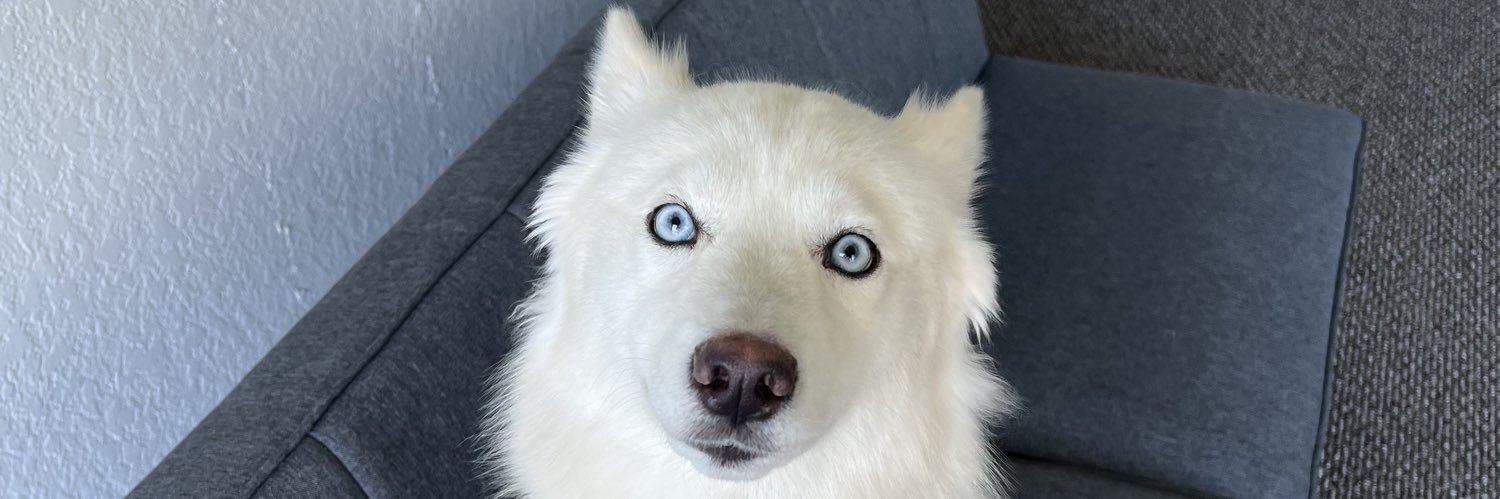 yawnwell's profile banner image