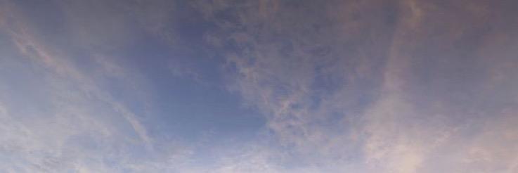 pinkyoil's profile banner image