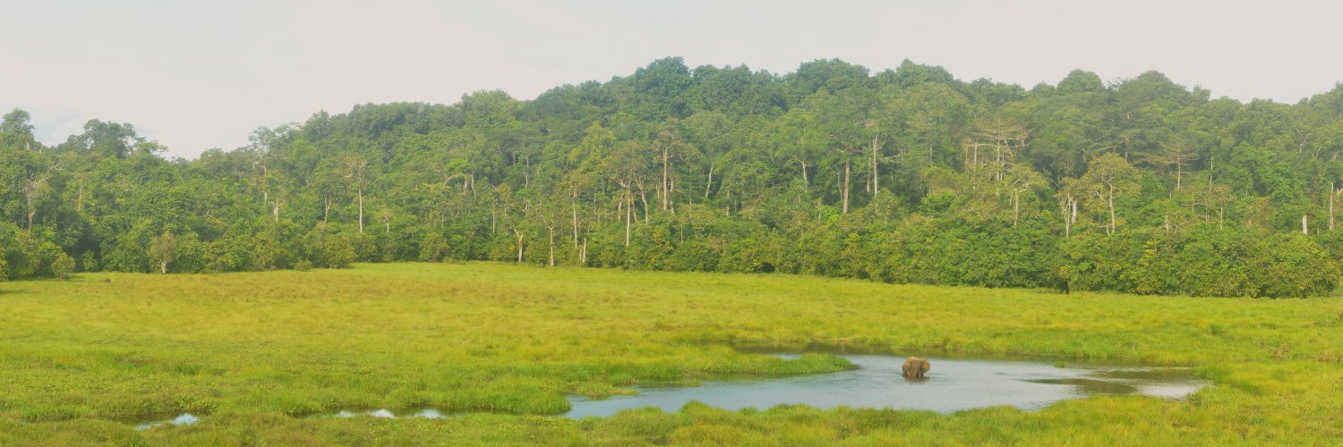 Emilio Vilanova 🌳 banner