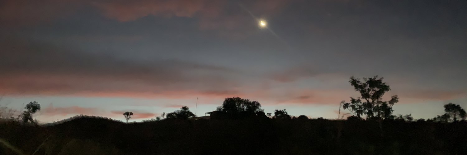 marisigurace's profile banner image
