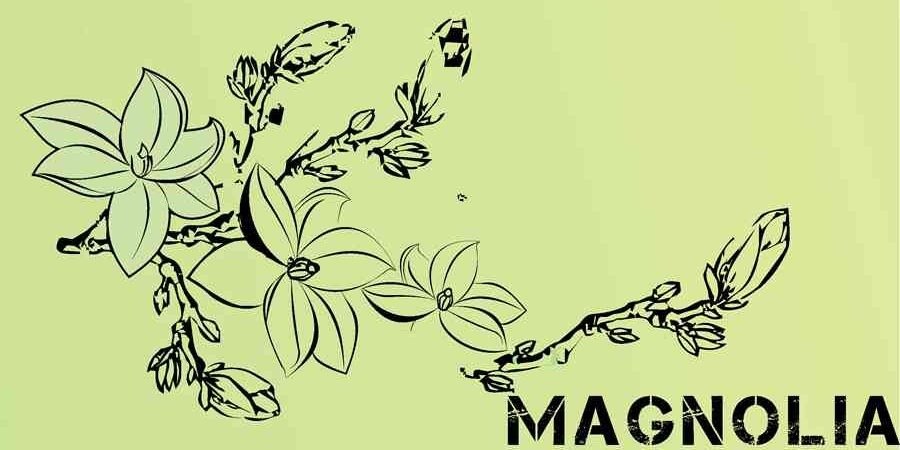 AGH50IPB's profile banner image