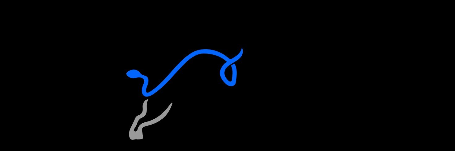 pipsession's profile banner image