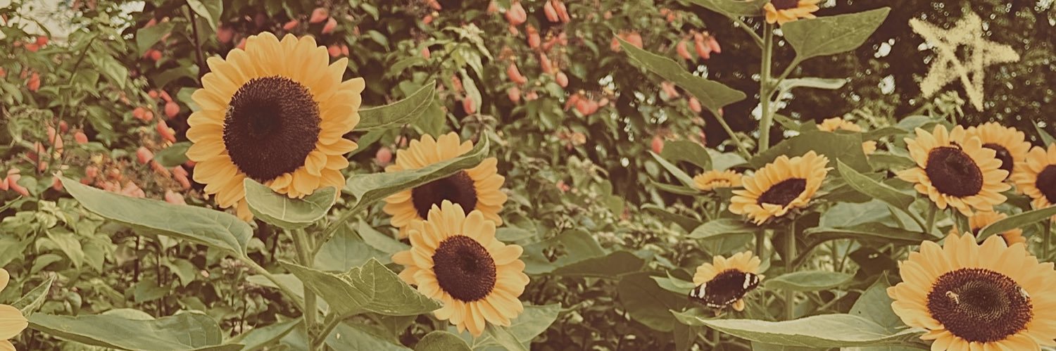 dani.pdf 🌻 || 다니 banner