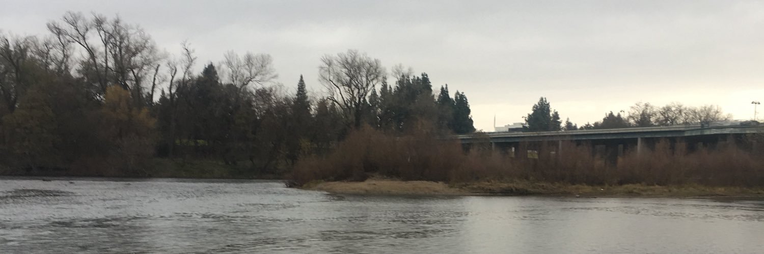 Tinelle (she/her) banner