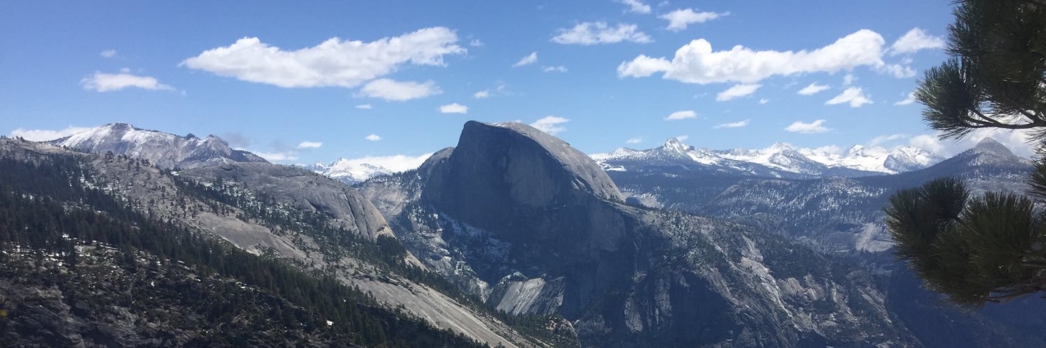 Page Williams banner