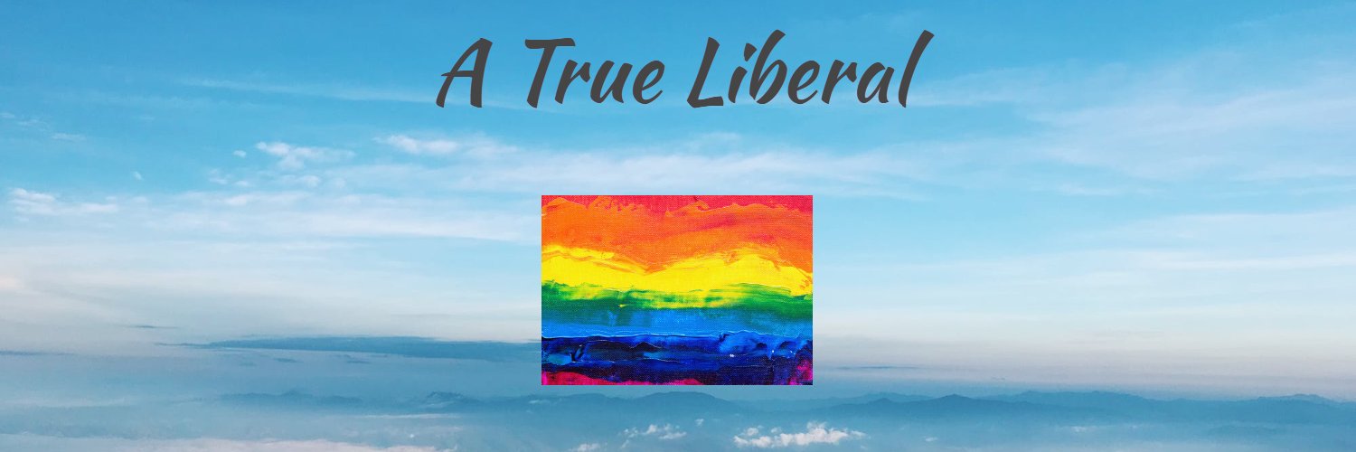 A True Liberal 🇬🇧 🏳️‍🌈's banner
