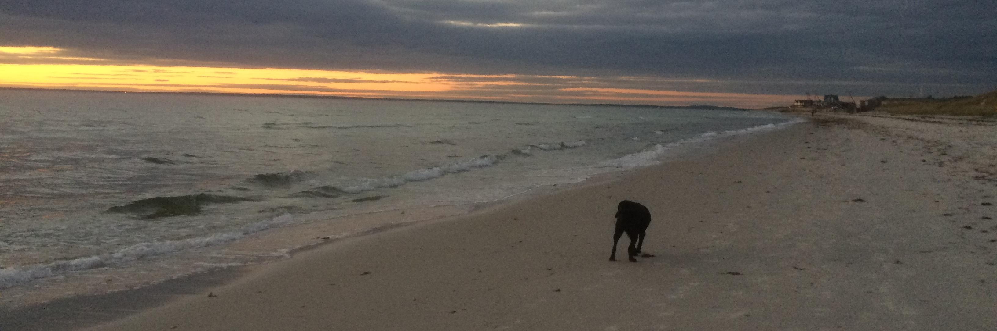 Christopher Rhoads banner