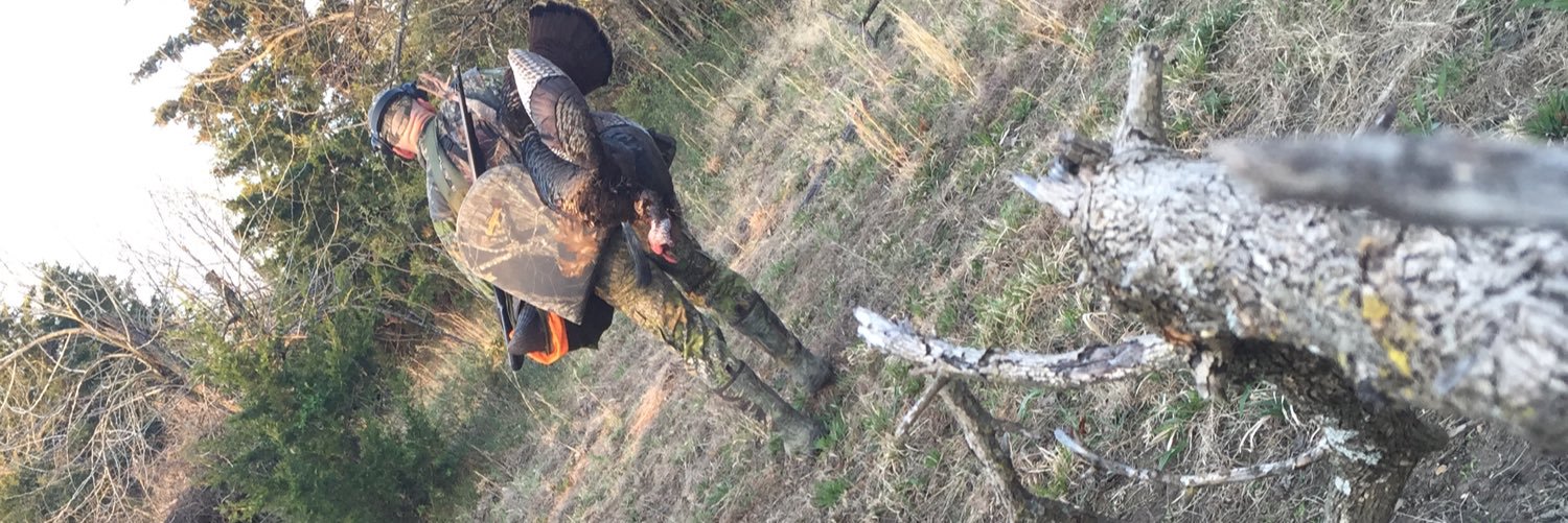 brian_hardee's profile banner image