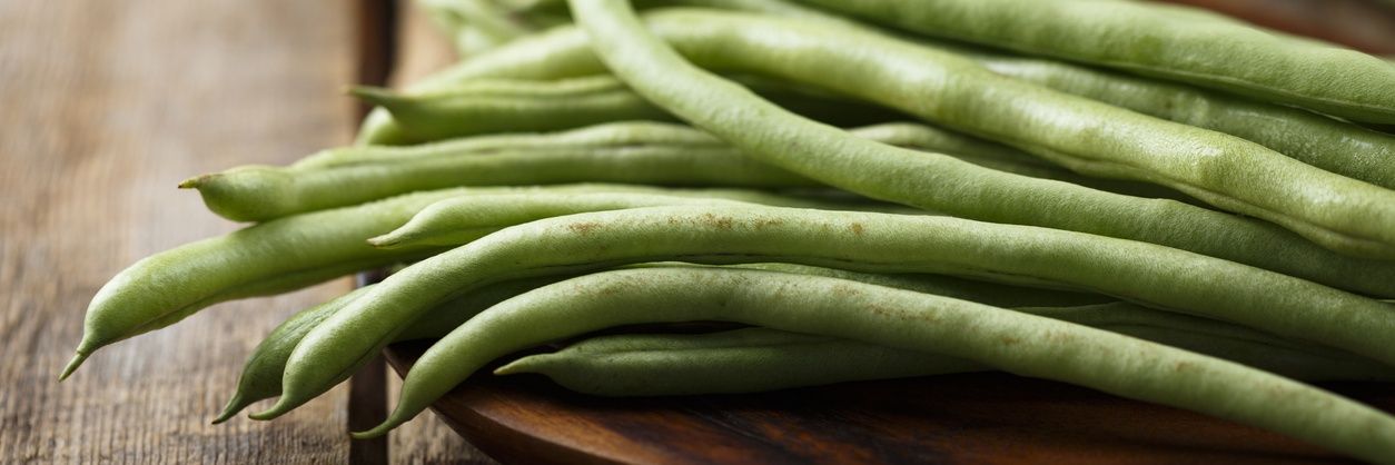 PFF_greenbeans's profile banner image
