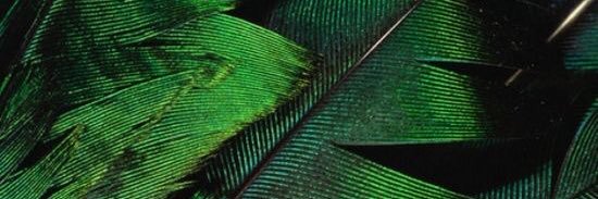 RomayoMalave's profile banner image