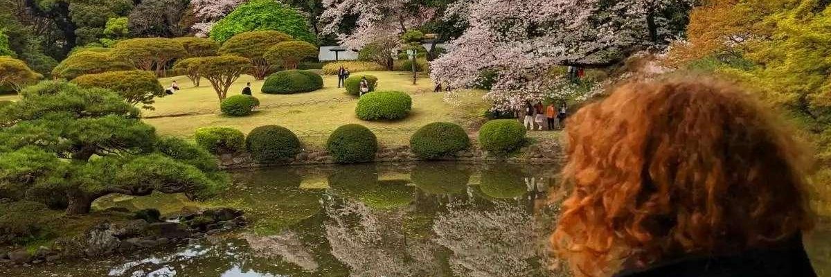 ro computer ^o^ banner