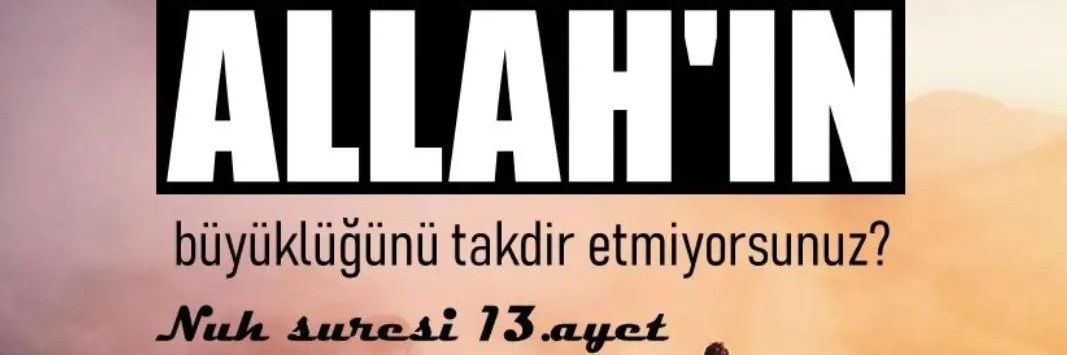 Tevhidehli__1's profile banner image