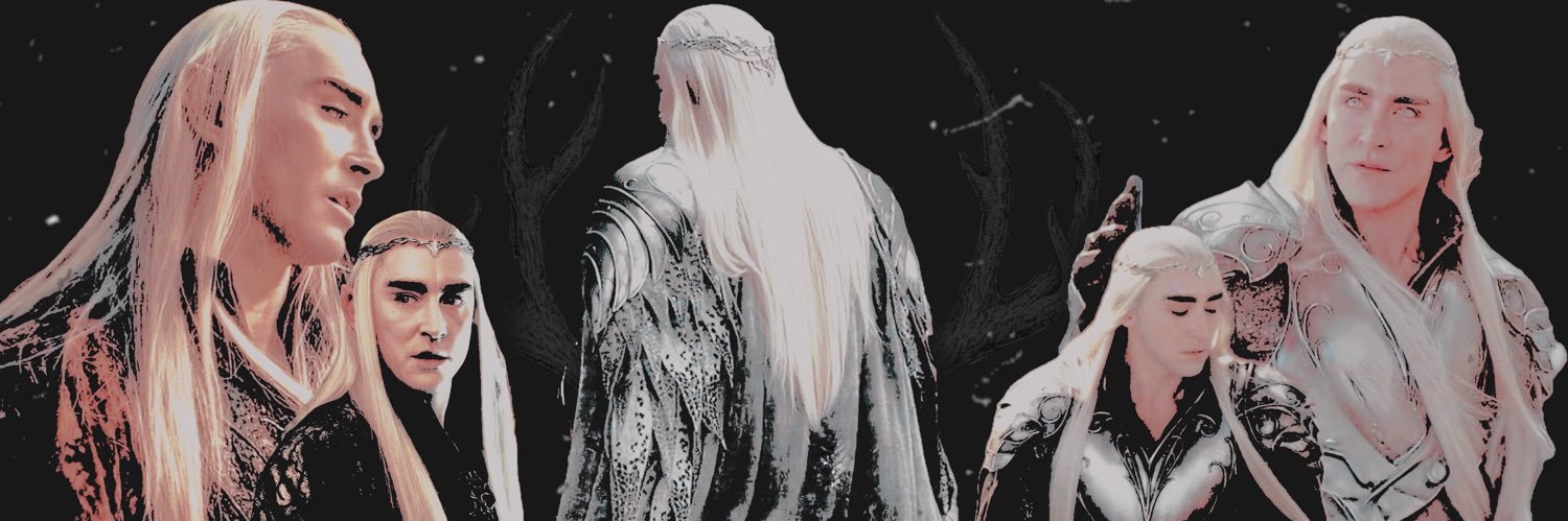 𝐓𝐇𝐄 𝐄𝐋𝐅 𝐊𝐈𝐍𝐆 banner