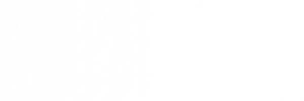 traedyoa Profile Banner