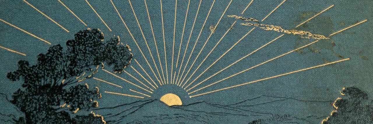 ___zj_'s profile banner image