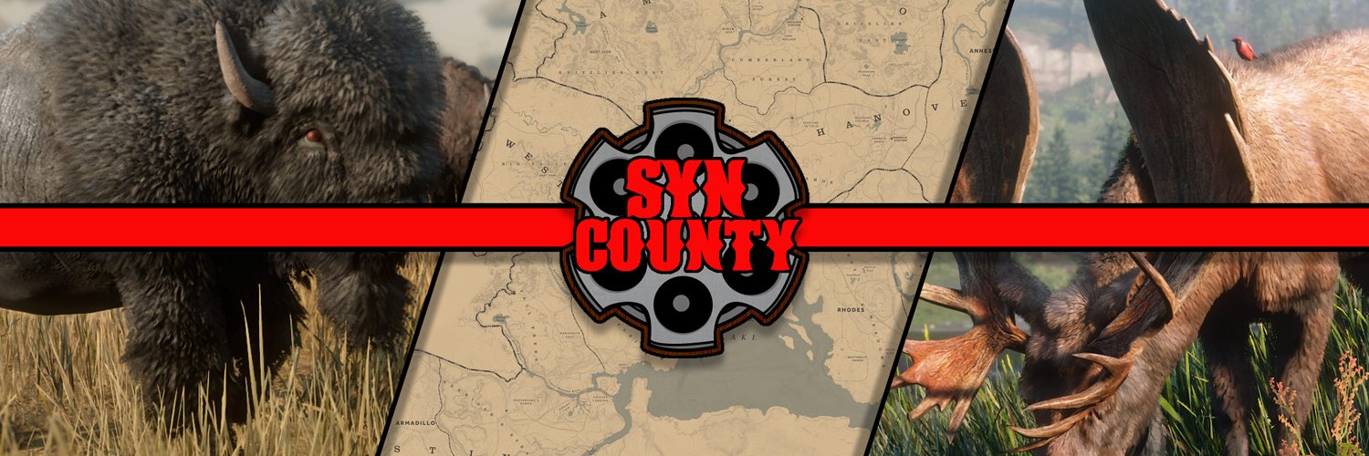 Syn County RP banner