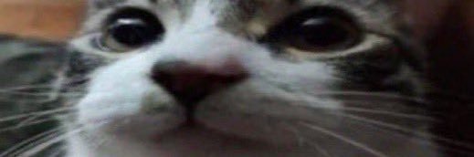 TheDarkBlu's profile banner image