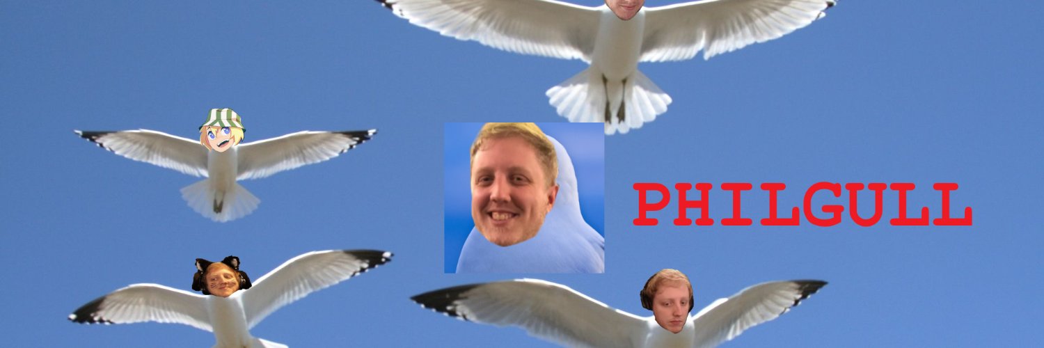 ph1lgull's profile banner image