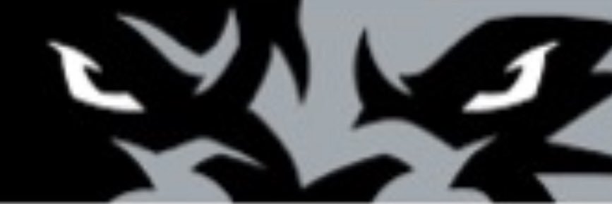 Western Panthers Basketball's banner